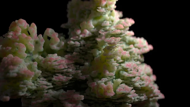 Coral Wisp — procedural growth at scale cover